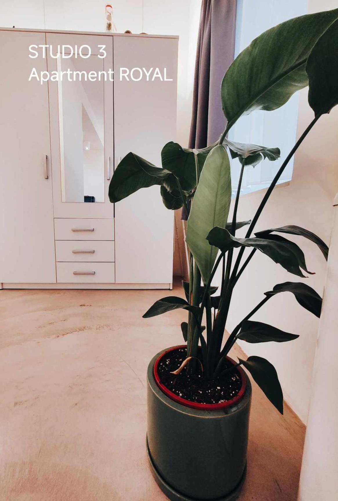 Pekarna apartments Ljubljana Bagian luar foto